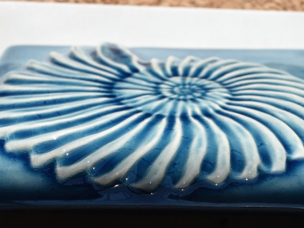Fossil Art