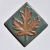 Silver Maple Leaf