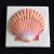 Gloripallium Shell Tile