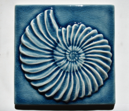 Ammonite Fossil Wall Tile
