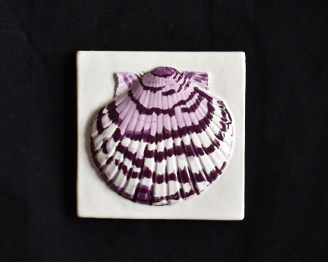 Purple Calico Scallop Shell
