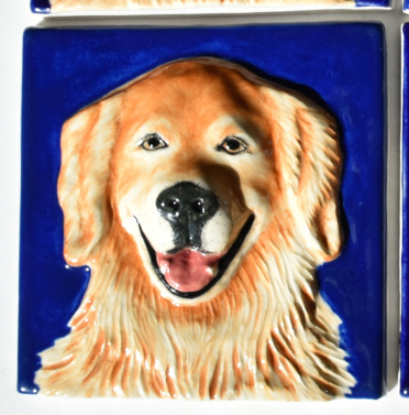 Smiling Golden Retriever Smiling Golden Retriever
