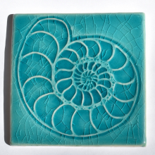 ammonite_turq_4inch_32718.jpg
