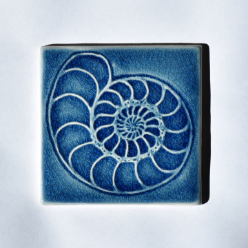 Ceramic Tile Ammonite Fossil