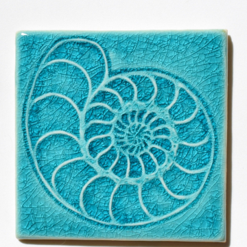 Ammonite Slice Tile