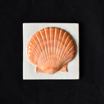 Scallop Shell Pottery Tile