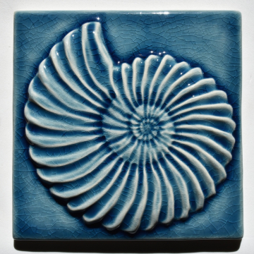 Ammonite Fossil Wall Tile