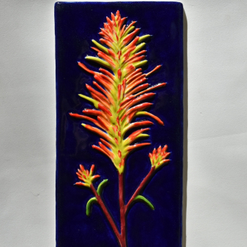 Indian Paintbrush Ceramic Tile